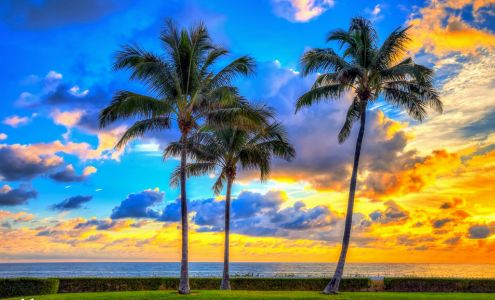 Stuart Florida Real Estate