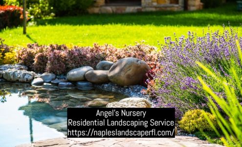 ANGEL'S NURSERY