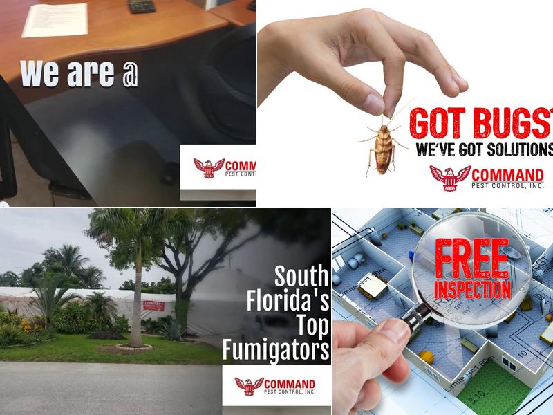 Command Pest Control