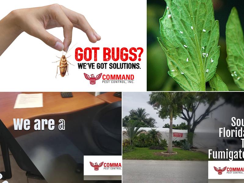 Command Pest Control