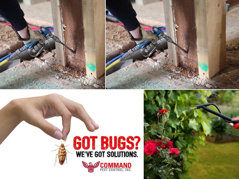 Command Pest Control