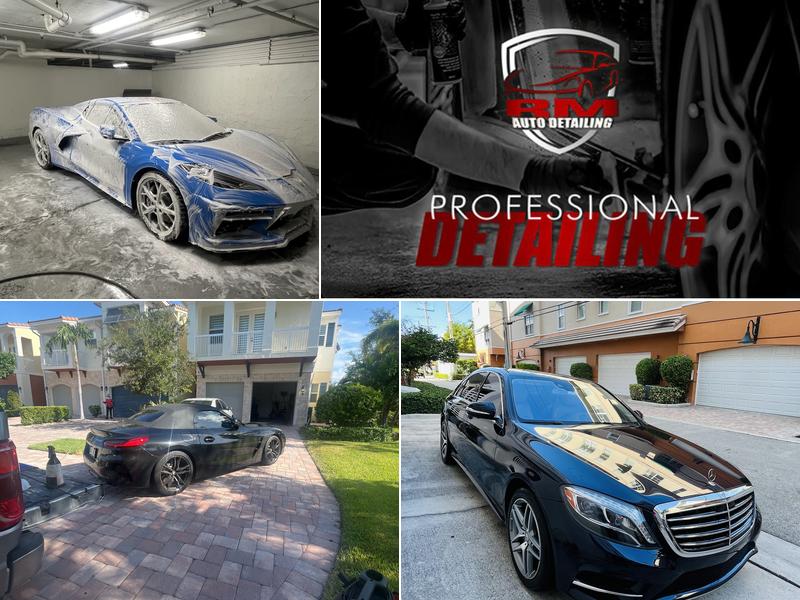 RM PROFESSIONAL DETAILING
