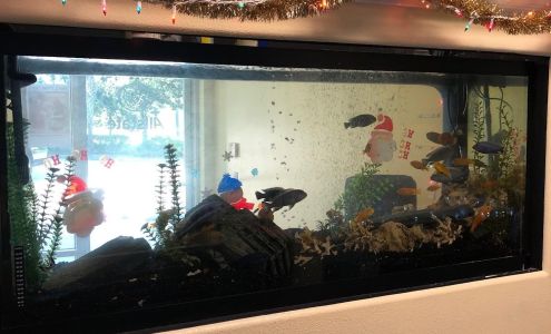 The Berk Insurance Agency