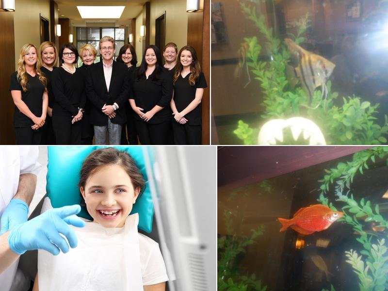 McNutt Pediatric Dentistry: Timothy E McNutt, Sr, DDS