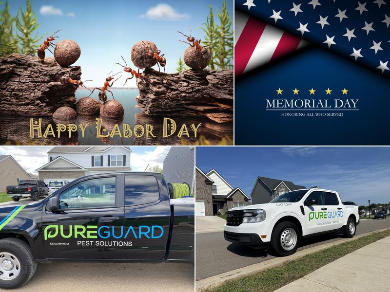 PureGuard Pest Solutions