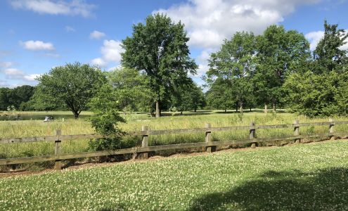 Benchmark Realty LLC