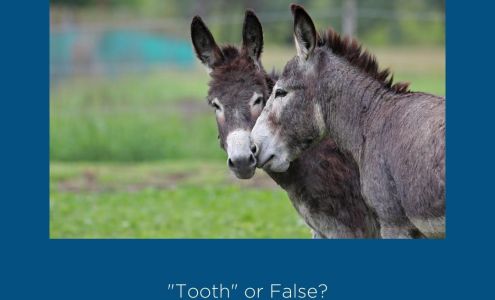 Waterside Dental - Sarasota