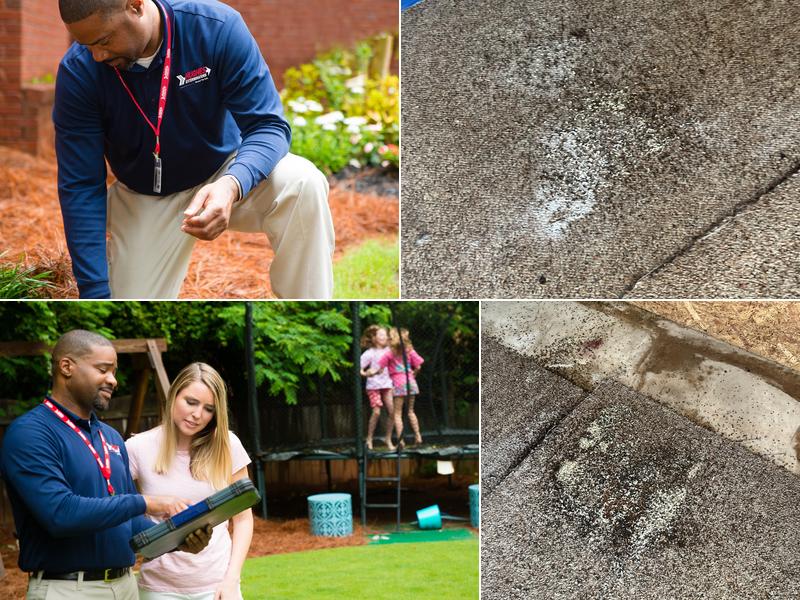 Hughes Exterminators