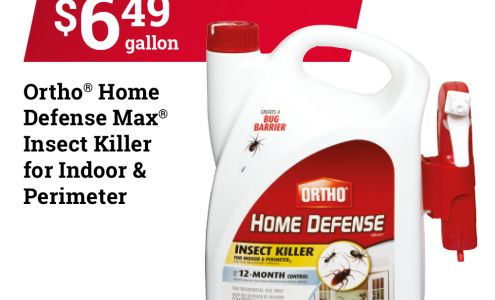 Lake City Ace Hardware Lake City