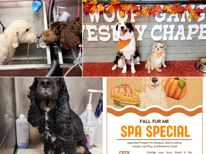 Woof Gang Bakery & Grooming Wesley Chapel