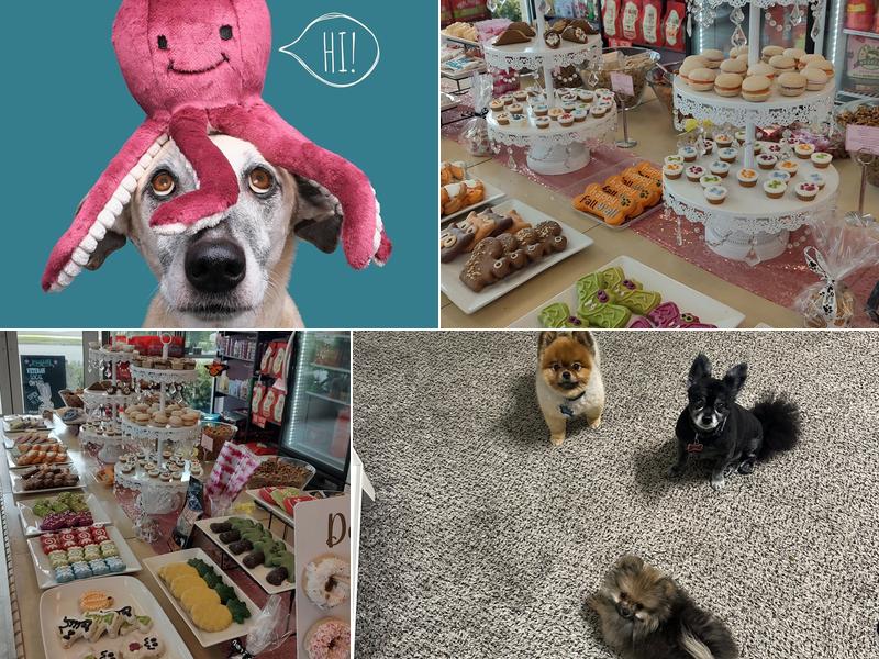 Woof Gang Bakery Daytona