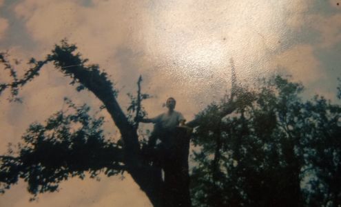 Papi Business and Son and Family-Roof Repair, Home Remodeling & Clean Up