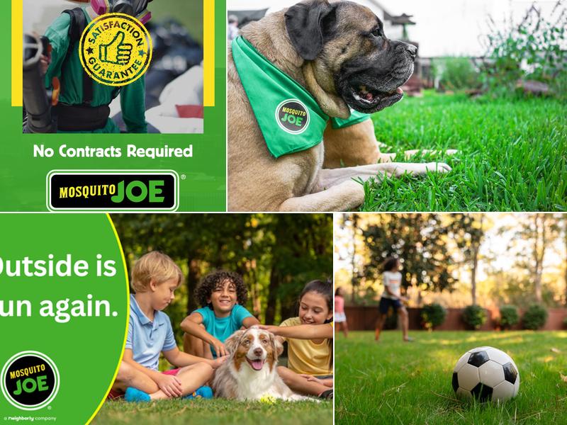 Mosquito Joe of East Atlanta-Athens