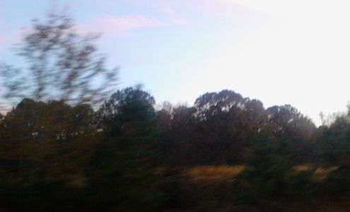 B & B Lawn Services & Landscaping Zebulon