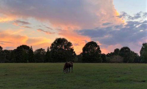 Teresa Grubbs - State Farm Insurance Agent