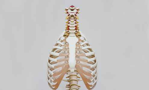 Back & Neck Pain Center PC