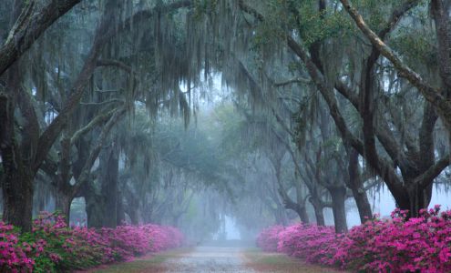 Bonaventure Cemetery Tours Thunderbolt