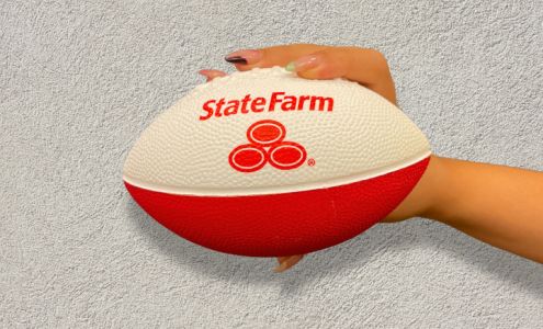 Kevin Sevier - State Farm Insurance Agent