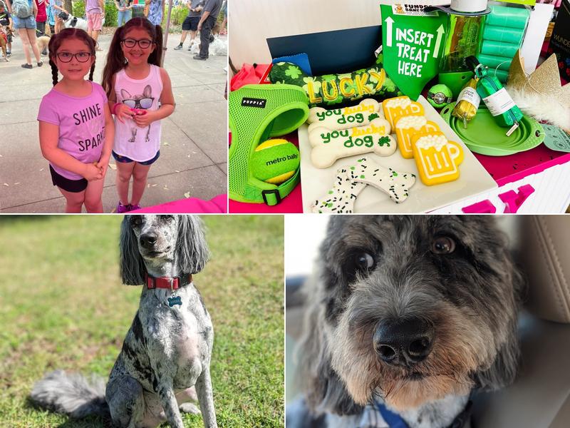 Woof Gang Bakery & Grooming Berwick