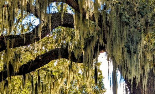 Berkshire Hathaway HomeServices Bay Street Realty Group