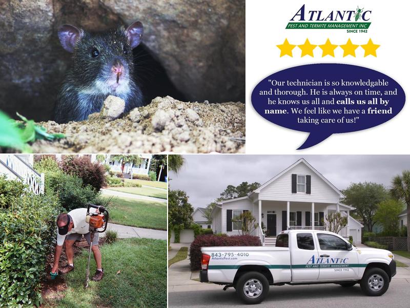 Atlantic Pest and Termite Management, Inc.