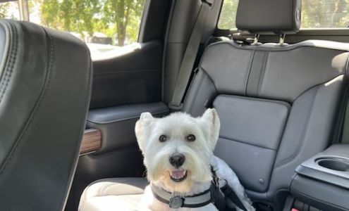 My Three Dogs Coleman 350 W Coleman Blvd, Mt Pleasant South Carolina 29464