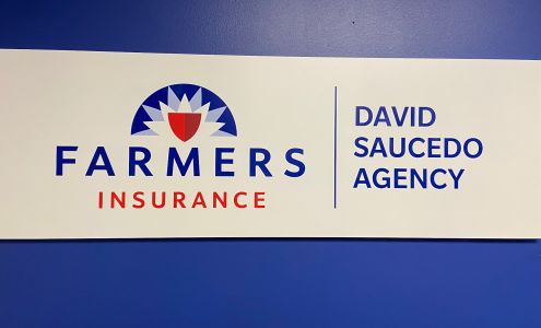 Farmers Insurance - David Saucedo-Ruiz