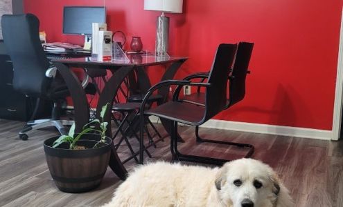 Sheila Sanchez - State Farm Insurance Agent