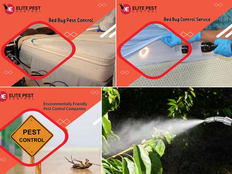 Elite Pests Control LLC