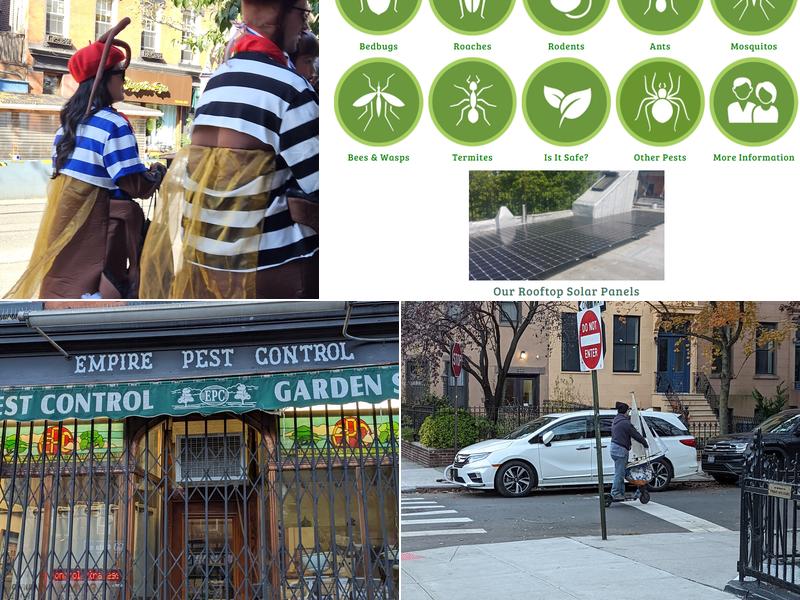 Empire Pest Control