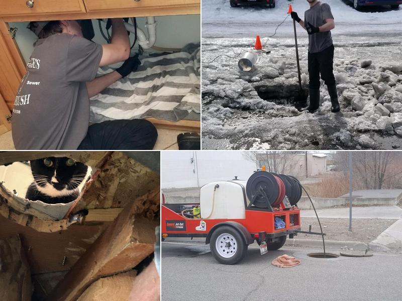 King George's Royal Flush