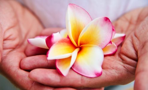 Healthier Bodies Inc.