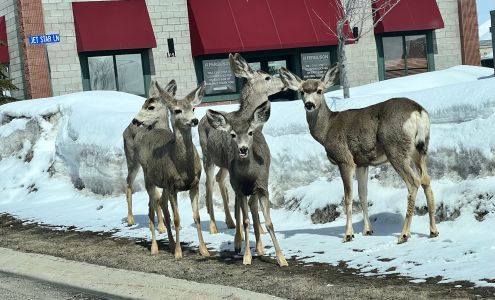 Ferguson Bath, Kitchen & Lighting Gallery