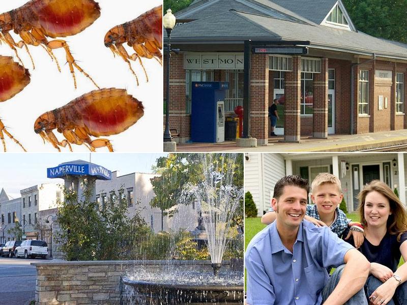 Midwest Exterminating