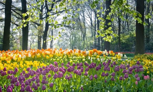 Coldwell Banker Real Estate Group