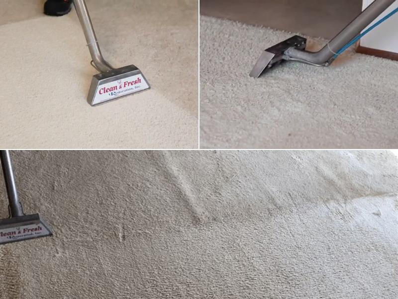 Clean And Fresh Restoration Inc