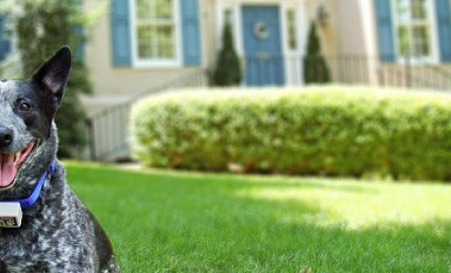 Contain-A-Pet of Central Il 12350 Waverly Rd, Waverly Illinois 62692