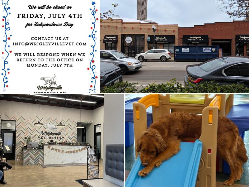 Wrigleyville Veterinary Center