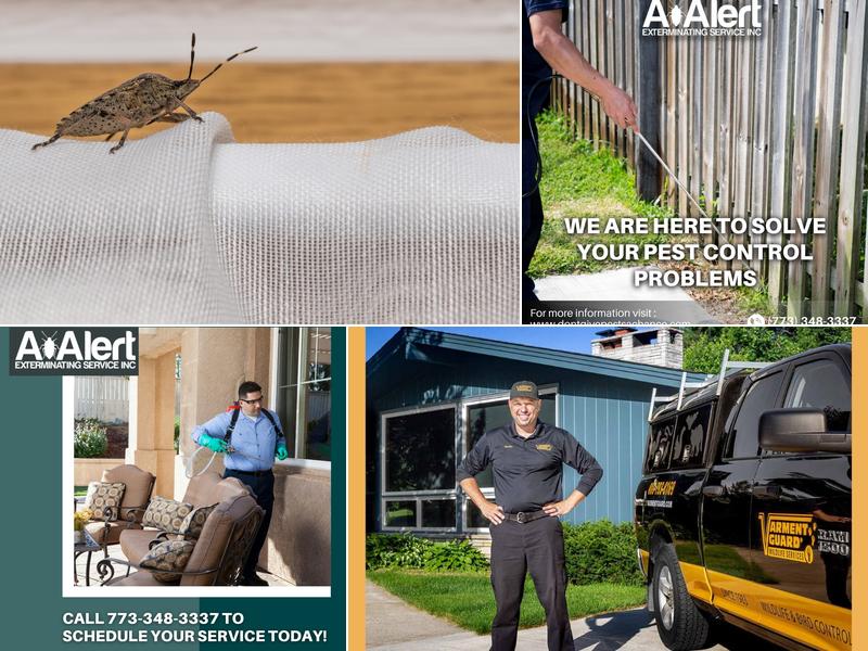 Varment Guard Wildlife Services