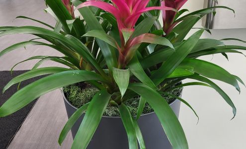 NCH Medical Group Primary Care