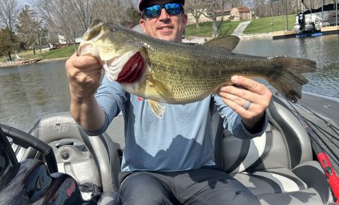 Alex Kile - State Farm Insurance Agent