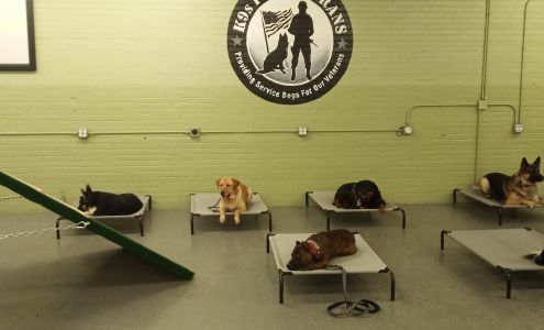 K9s For Veterans, NFP