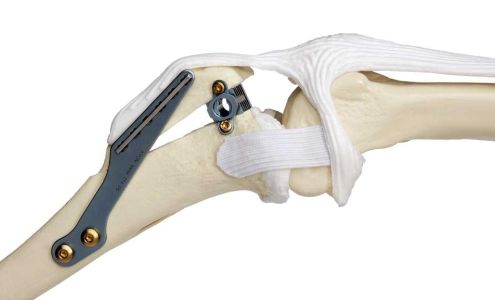 VelVet Surgical Services