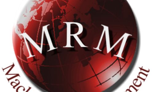 Mack Risk Management