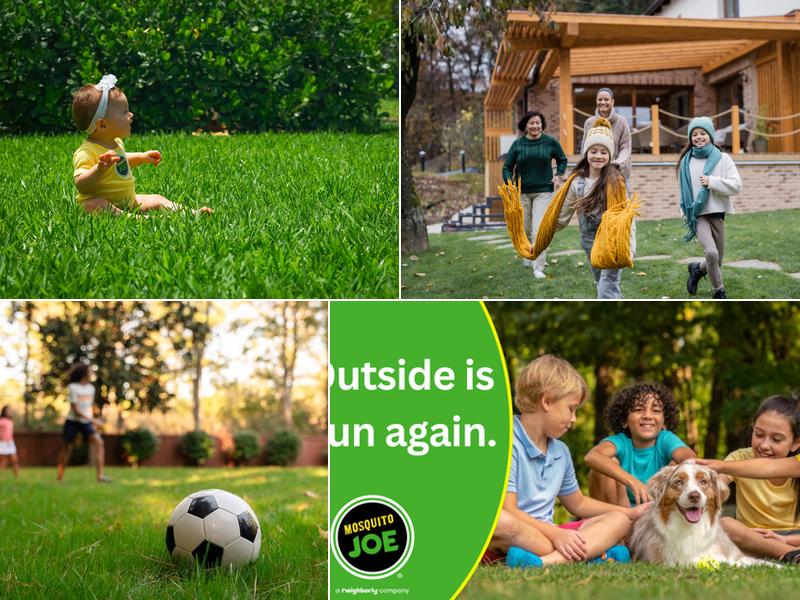 Mosquito Joe of Greater STL County