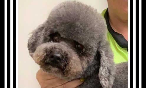 All About Dogs Pet Grooming 2900 Central, Lake Station Indiana 46405