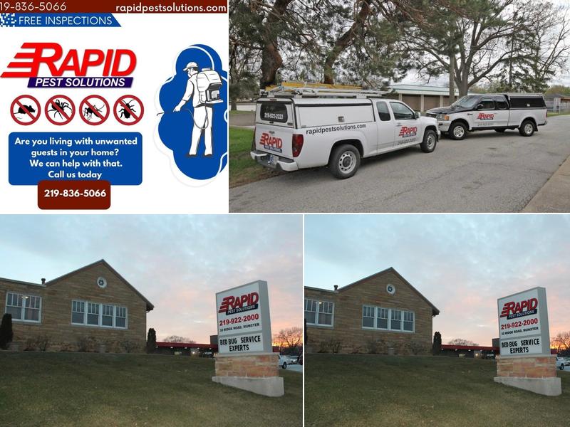 Rapid Pest Solutions