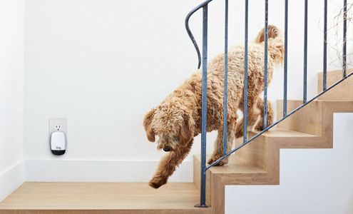 Brad Tucker - State Farm Insurance Agent