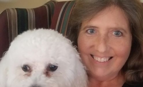 Steadfast Accounting & Tax LLC Columbia