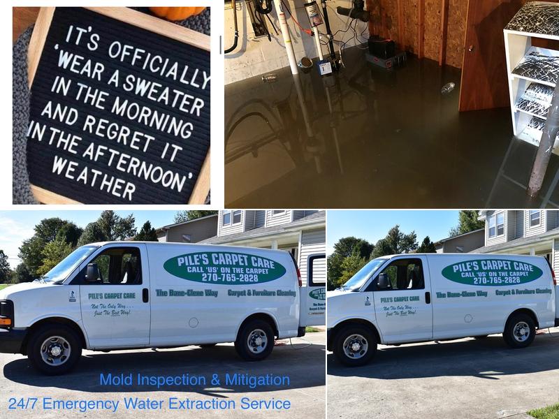 Pile's Carpet Care & Restoration Service